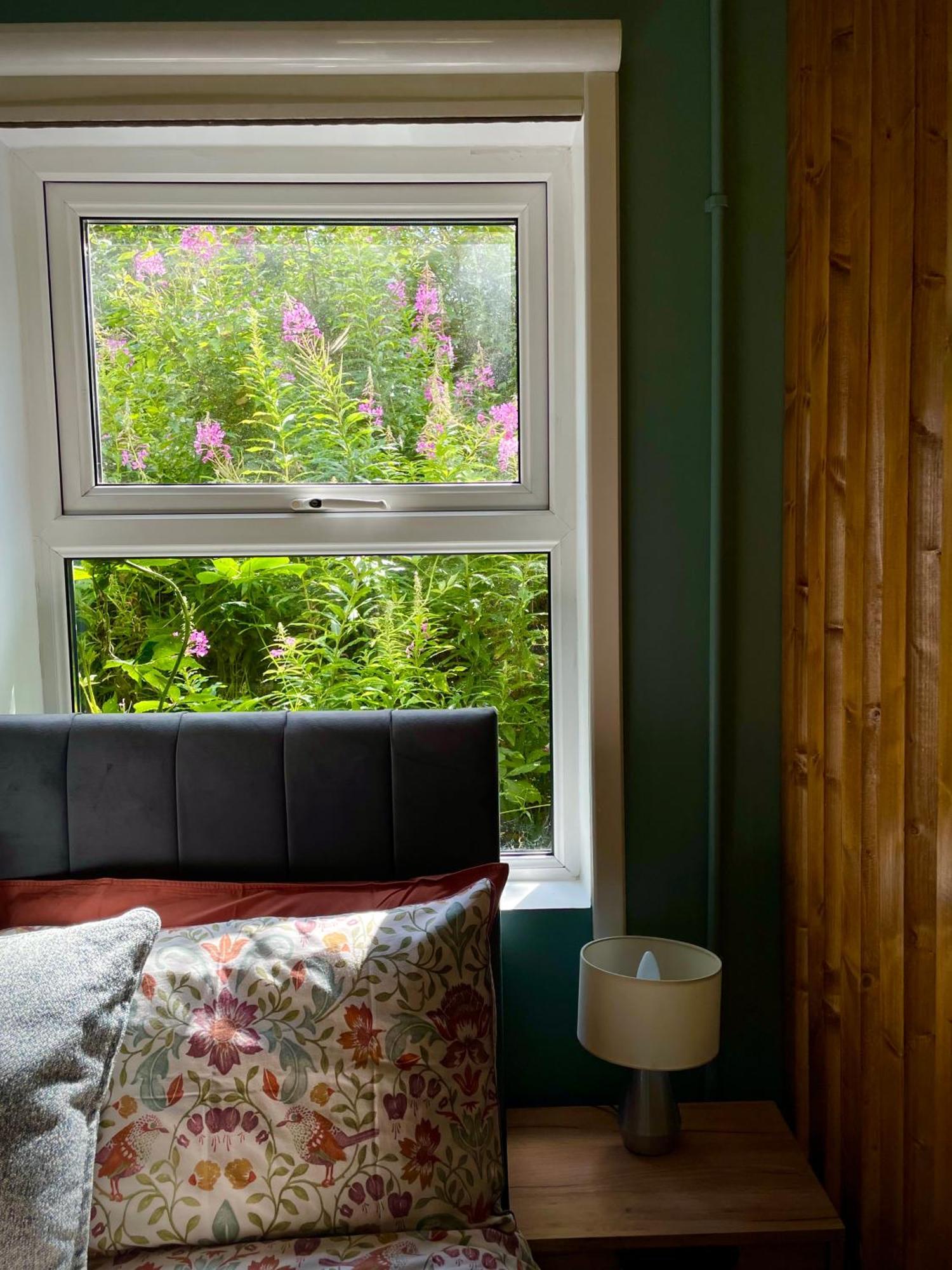 Studio Letterkenny Exteriér fotografie